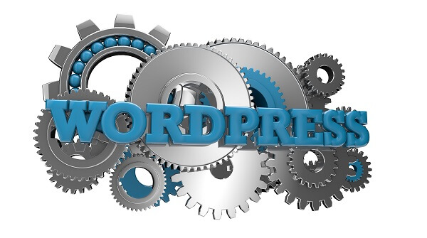 Should I use Wordpress for my business website? Yes! If....